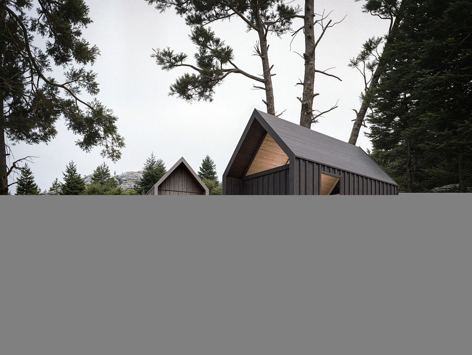 Gartenhaus Swedish Barn ALAS 2
